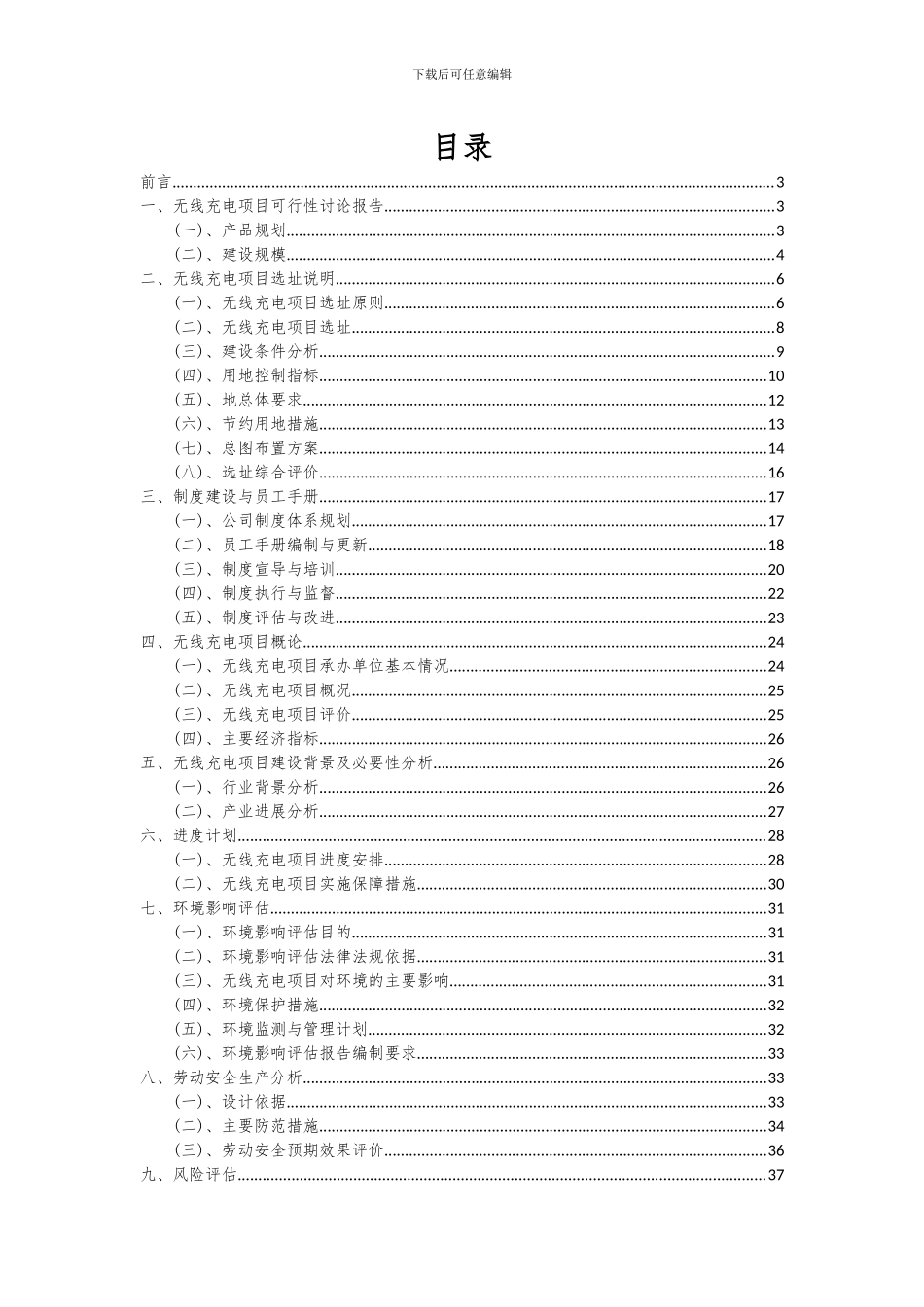 2024年无线充电项目可行性研究报告_第2页