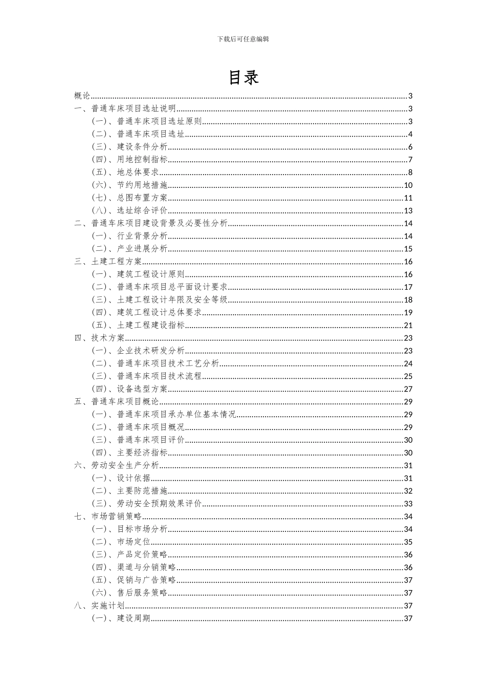2024年普通车床项目深度研究分析报告_第2页