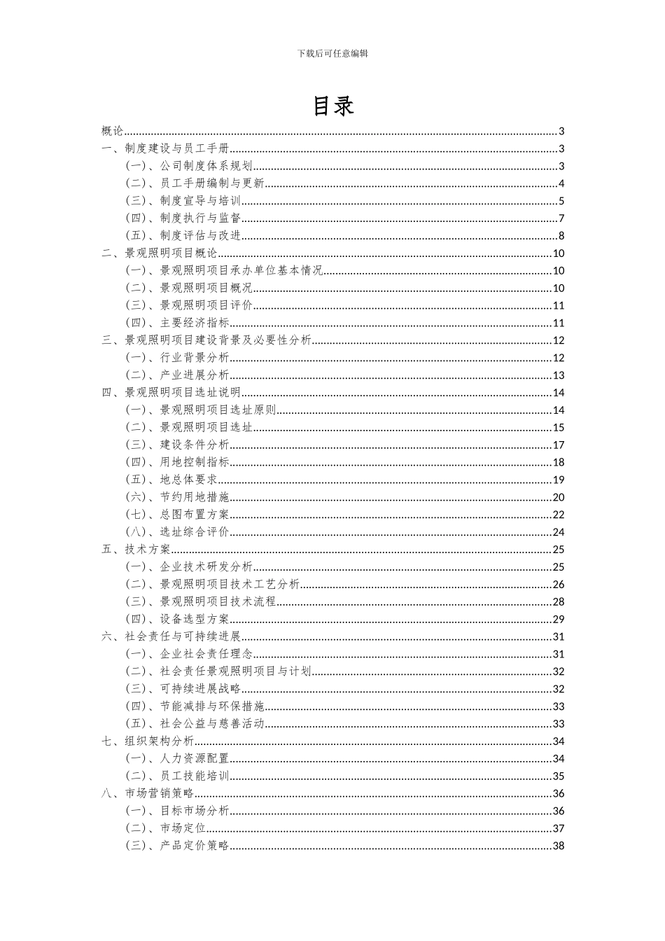 2024年景观照明项目可行性分析报告_第2页