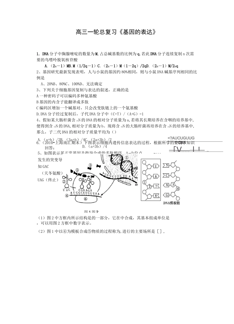 高三一轮复习《基因的表达》_第1页