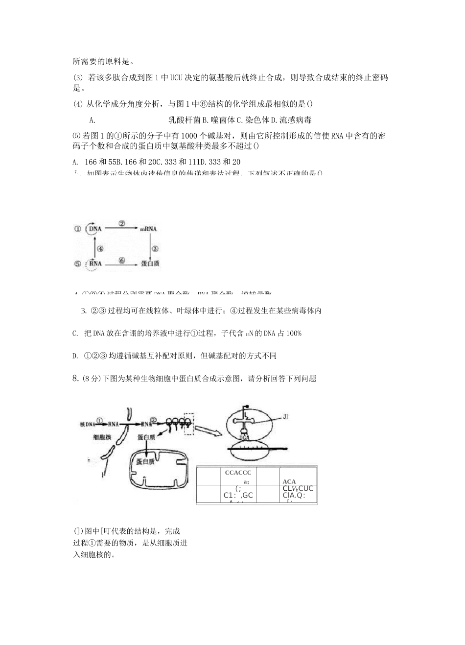 高三一轮复习《基因的表达》_第2页