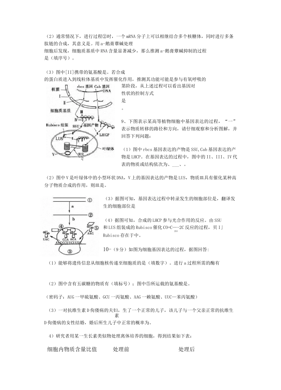 高三一轮复习《基因的表达》_第3页