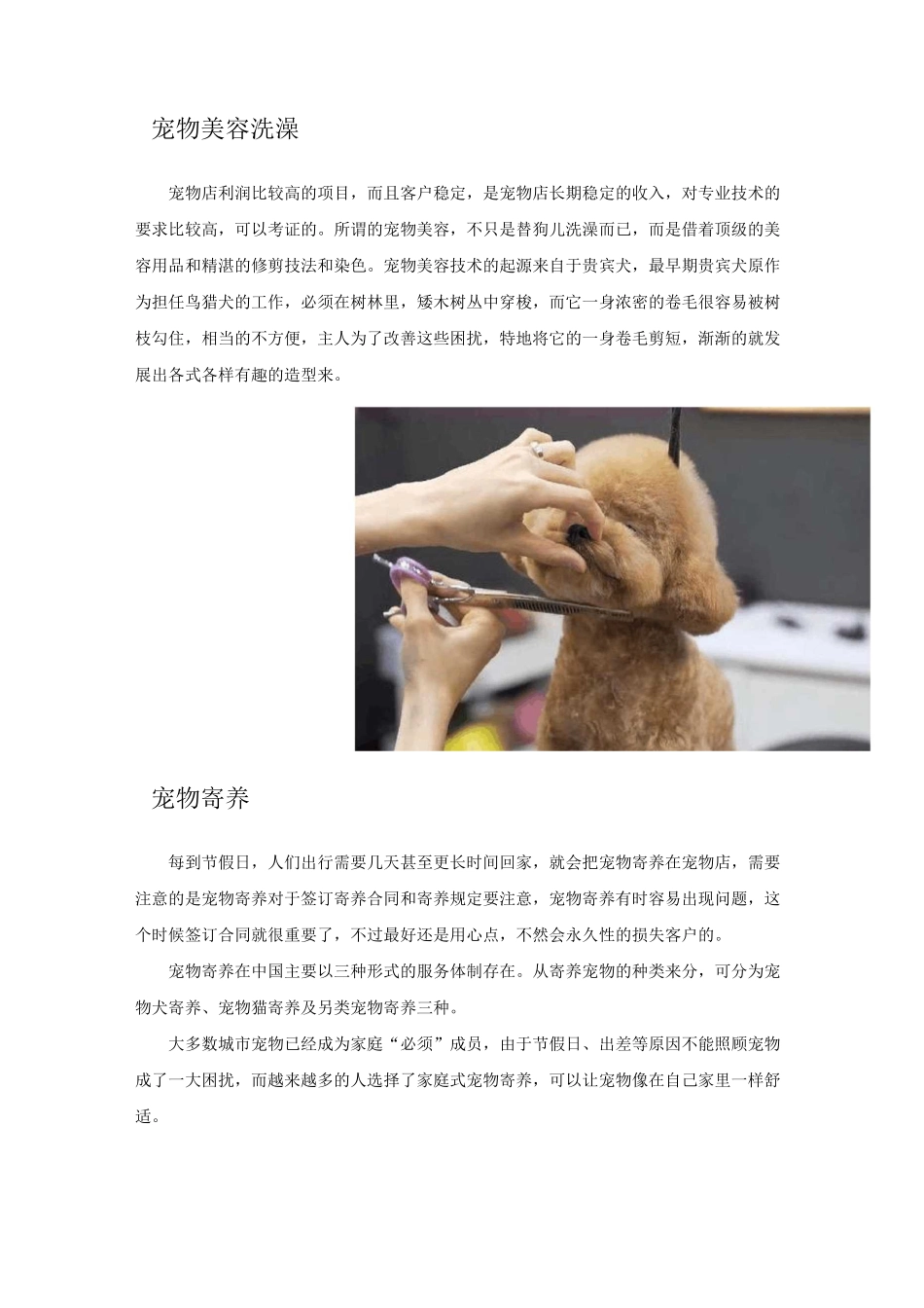 宠物服务项目盘点_第2页