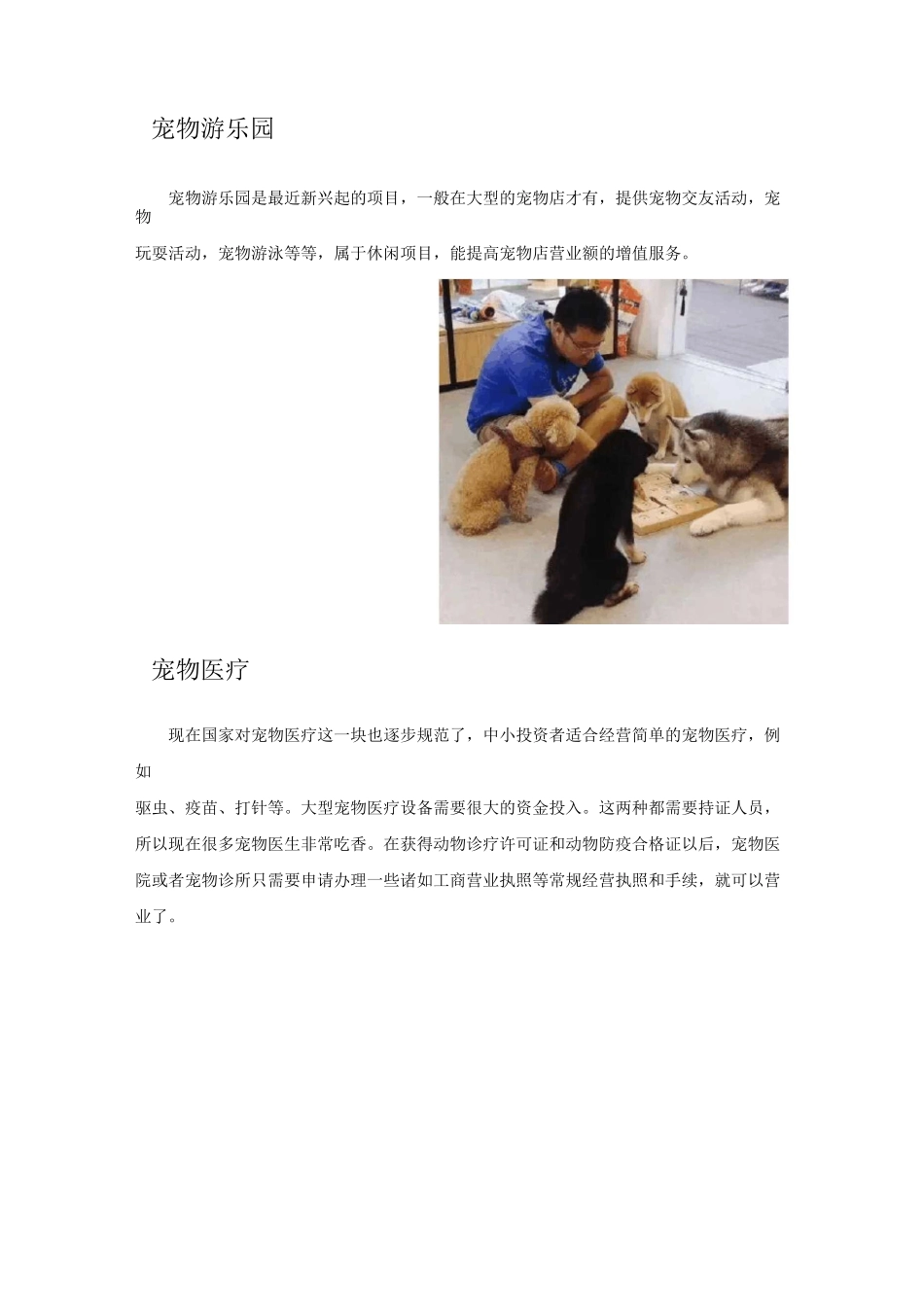 宠物服务项目盘点_第3页