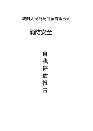 2017消防安全评价报告