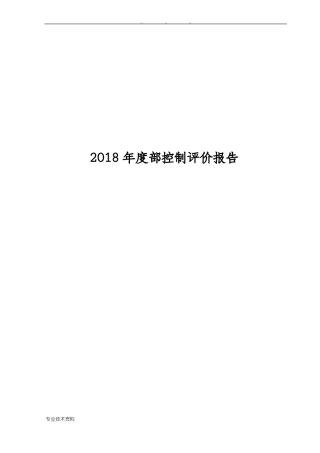 2018年内部控制评价报告