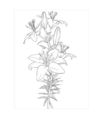 2018年大人用的填色画可以用A4纸打印