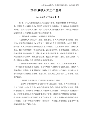 2018年标准乡镇人大工作总结