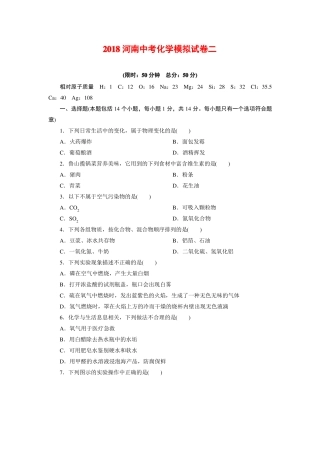 2018河南中考化学模拟试卷二