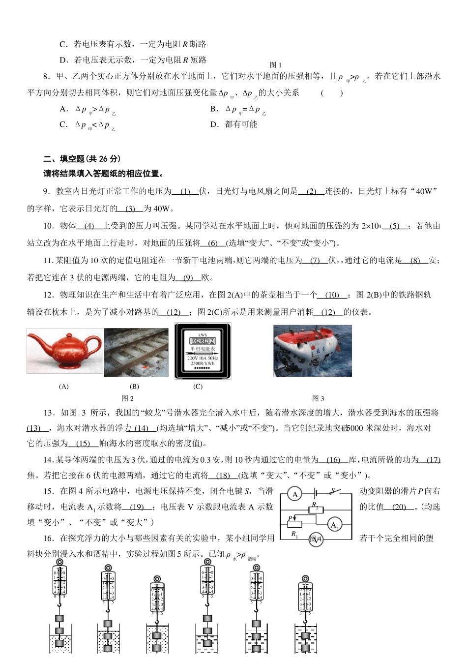 2019年上海浦东新区中考物理一模试题及答案_第2页