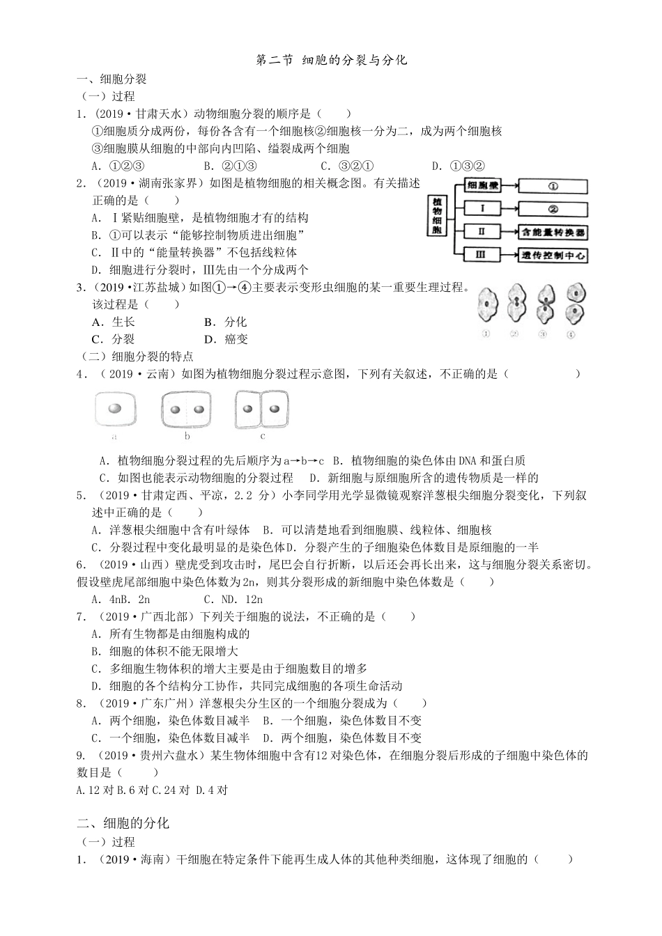 2019年中考生物真题分类：细胞的分裂与分化_第1页