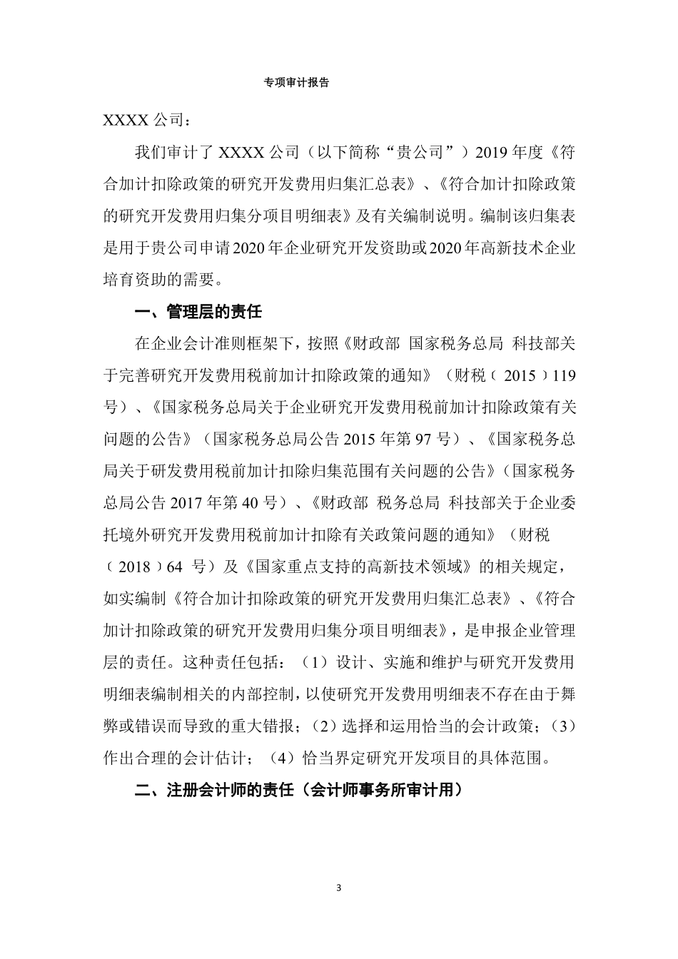 2019年研发费用专项审计报告模板_第3页