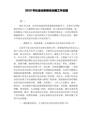 2019年社会治安综合治理工作总结