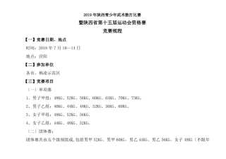 2019年陕西青少年武术散打比赛