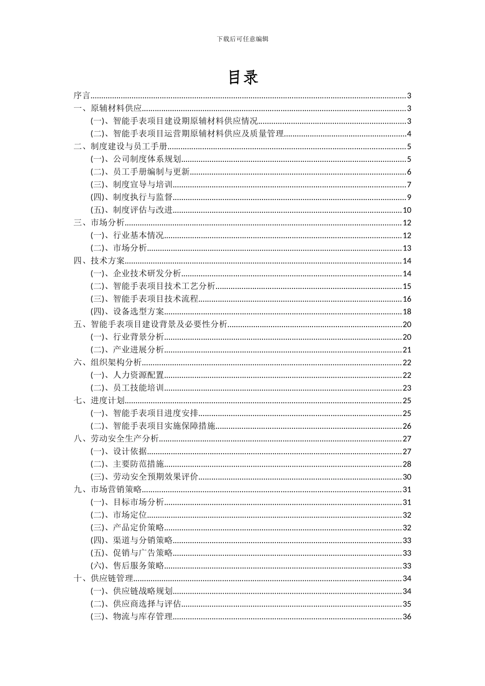2024年智能手表项目可行性分析报告_第2页