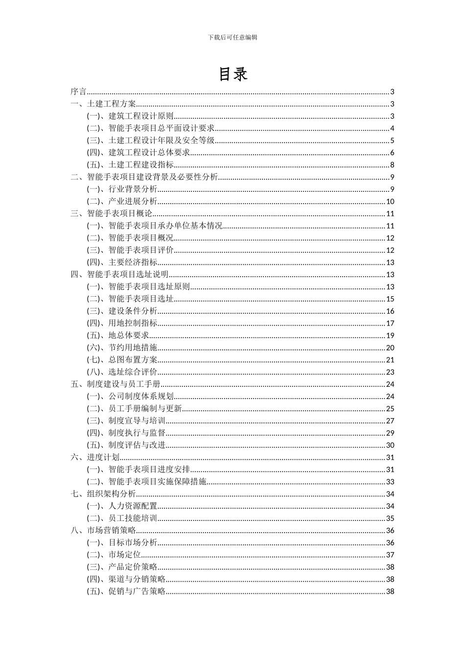 2024年智能手表项目可行性研究报告_第2页