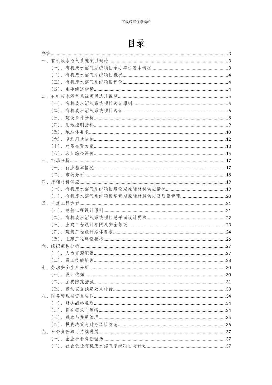 2024年有机废水沼气系统项目可行性分析报告_第2页