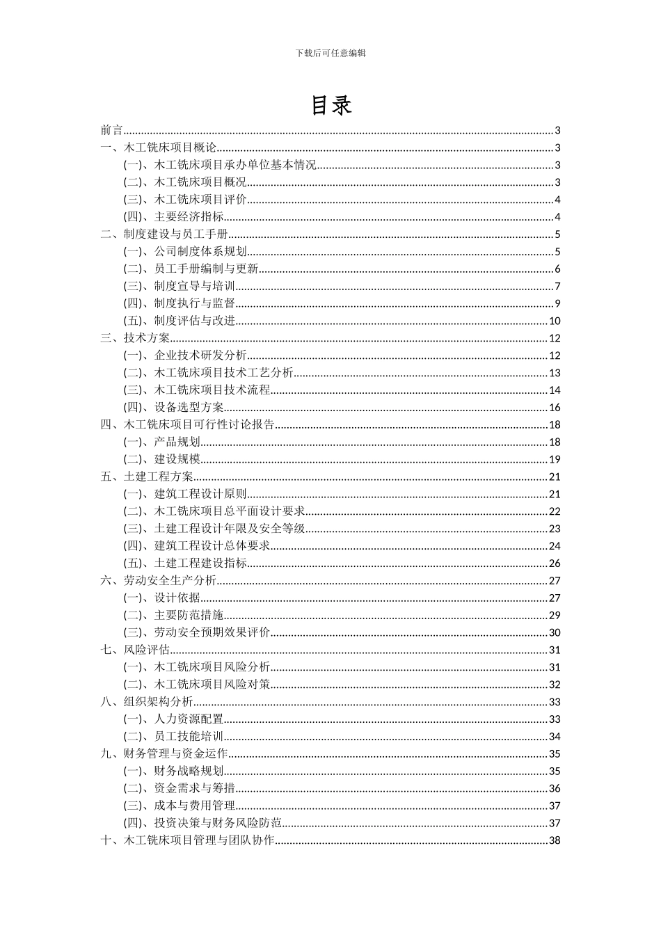 2024年木工铣床项目可行性研究报告_第2页