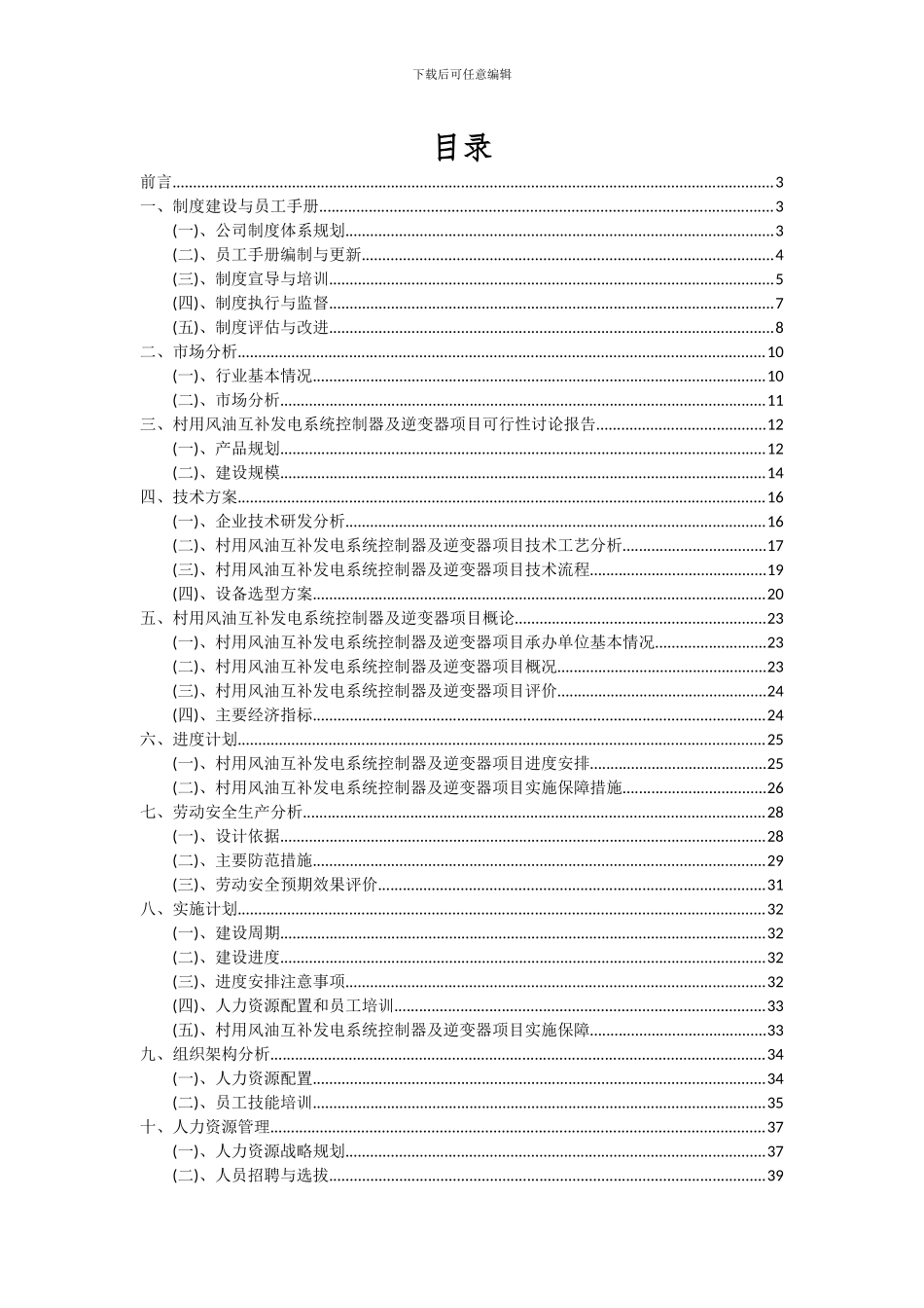 2024年村用风油互补发电系统控制器及逆变器项目投资分析及可行性报告_第2页