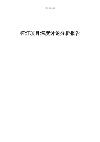 2024年杯灯项目深度研究分析报告
