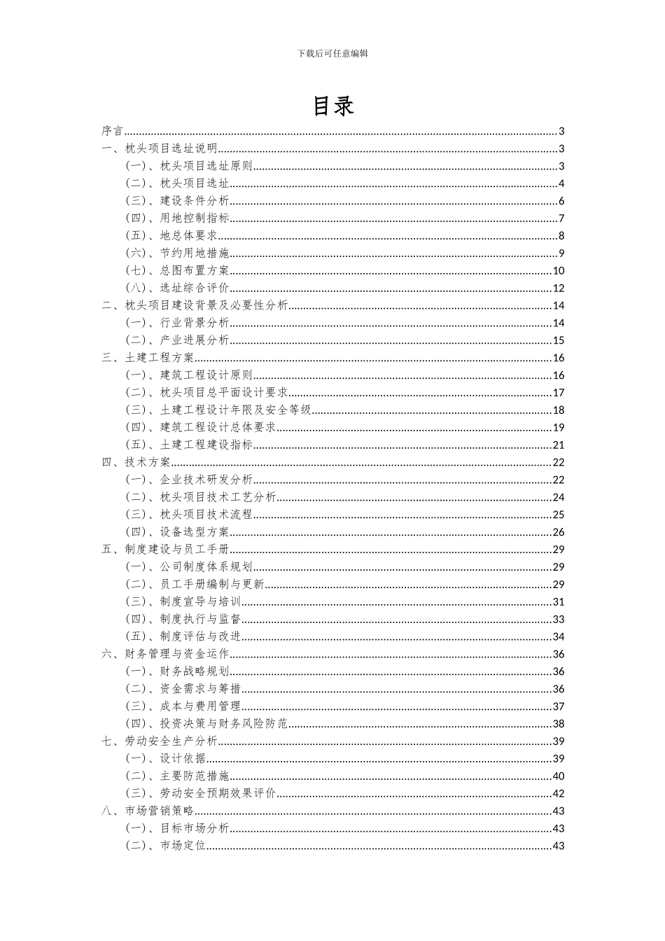 2024年枕头项目深度研究分析报告_第2页