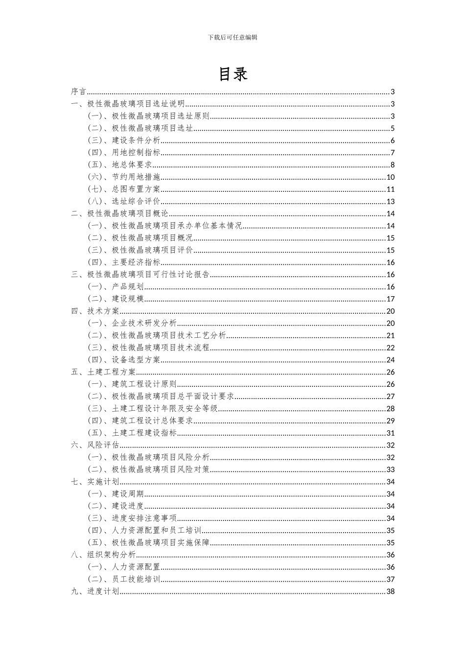 2024年极性微晶玻璃项目可行性研究报告_第2页