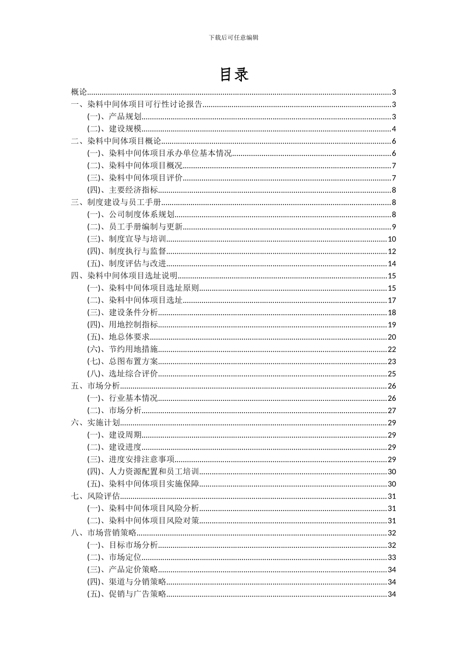 2024年染料中间体项目深度研究分析报告_第2页