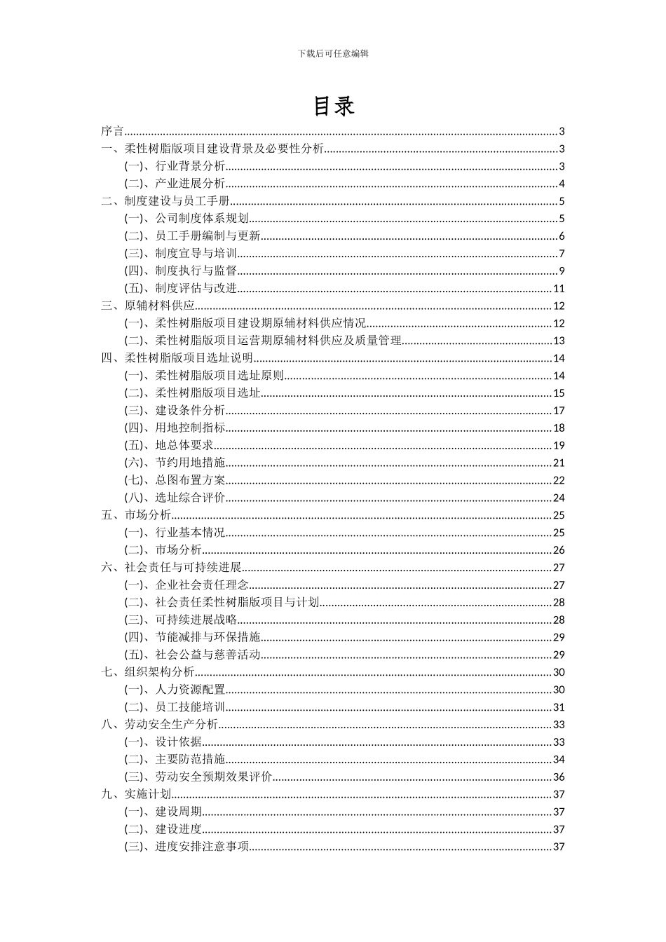 2024年柔性树脂版项目可行性分析报告_第2页