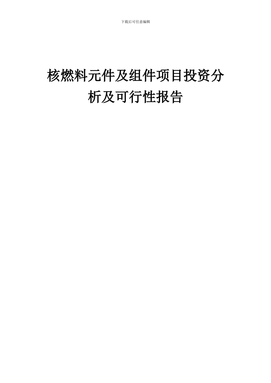 2024年核燃料元件及组件项目投资分析及可行性报告_第1页