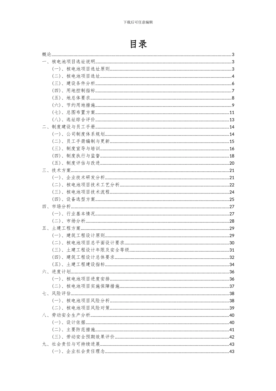 2024年核电池项目投资分析及可行性报告_第2页