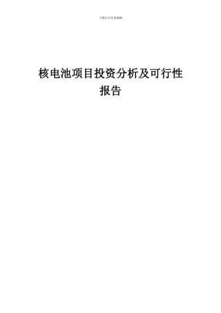 2024年核电池项目投资分析及可行性报告