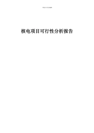 2024年核电项目可行性分析报告