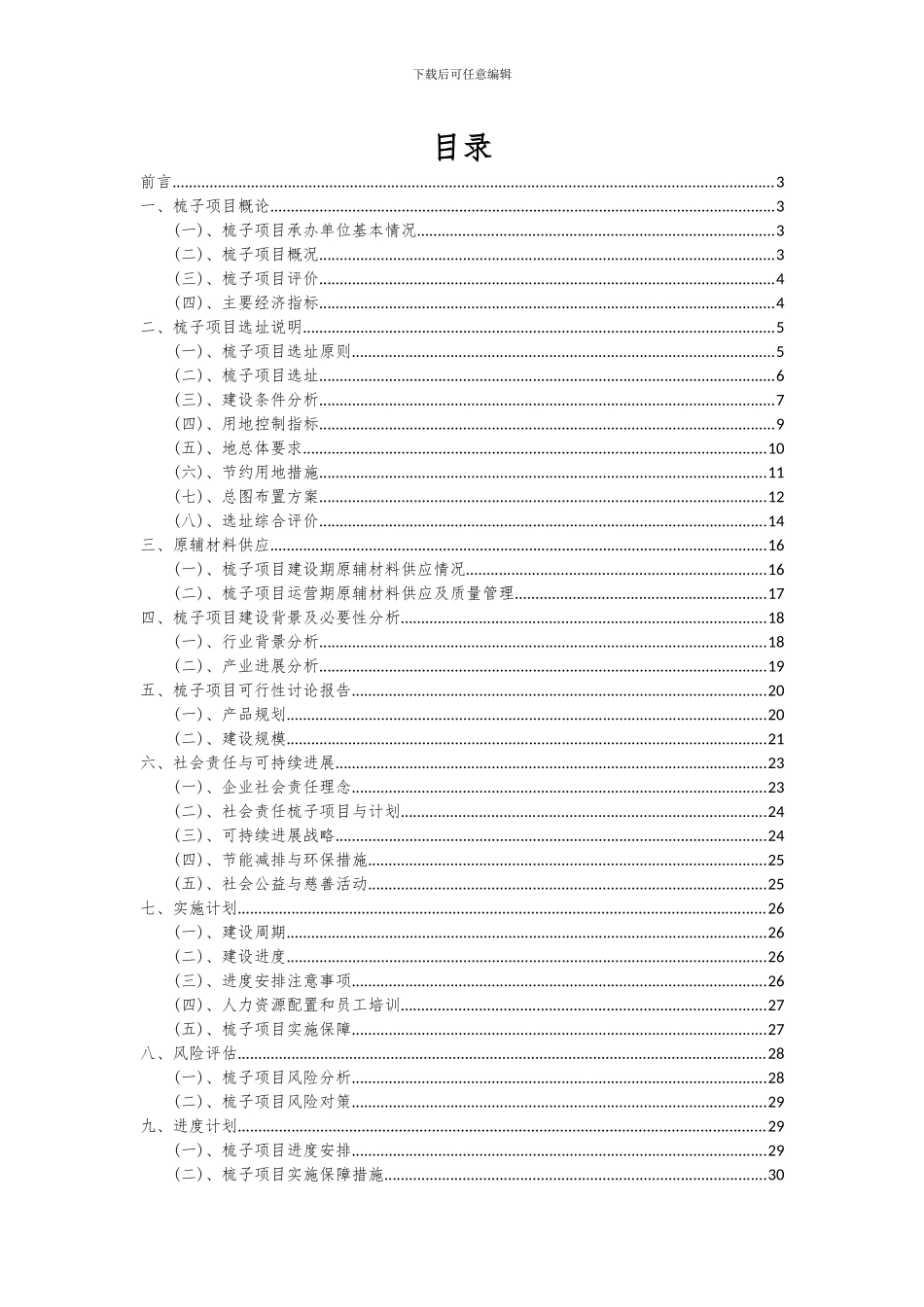 2024年梳子项目可行性分析报告_第2页