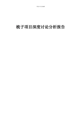 2024年梳子项目深度研究分析报告
