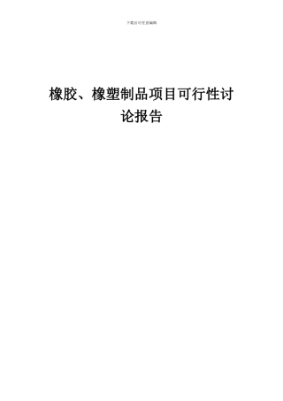 2024年橡胶、橡塑制品项目可行性研究报告