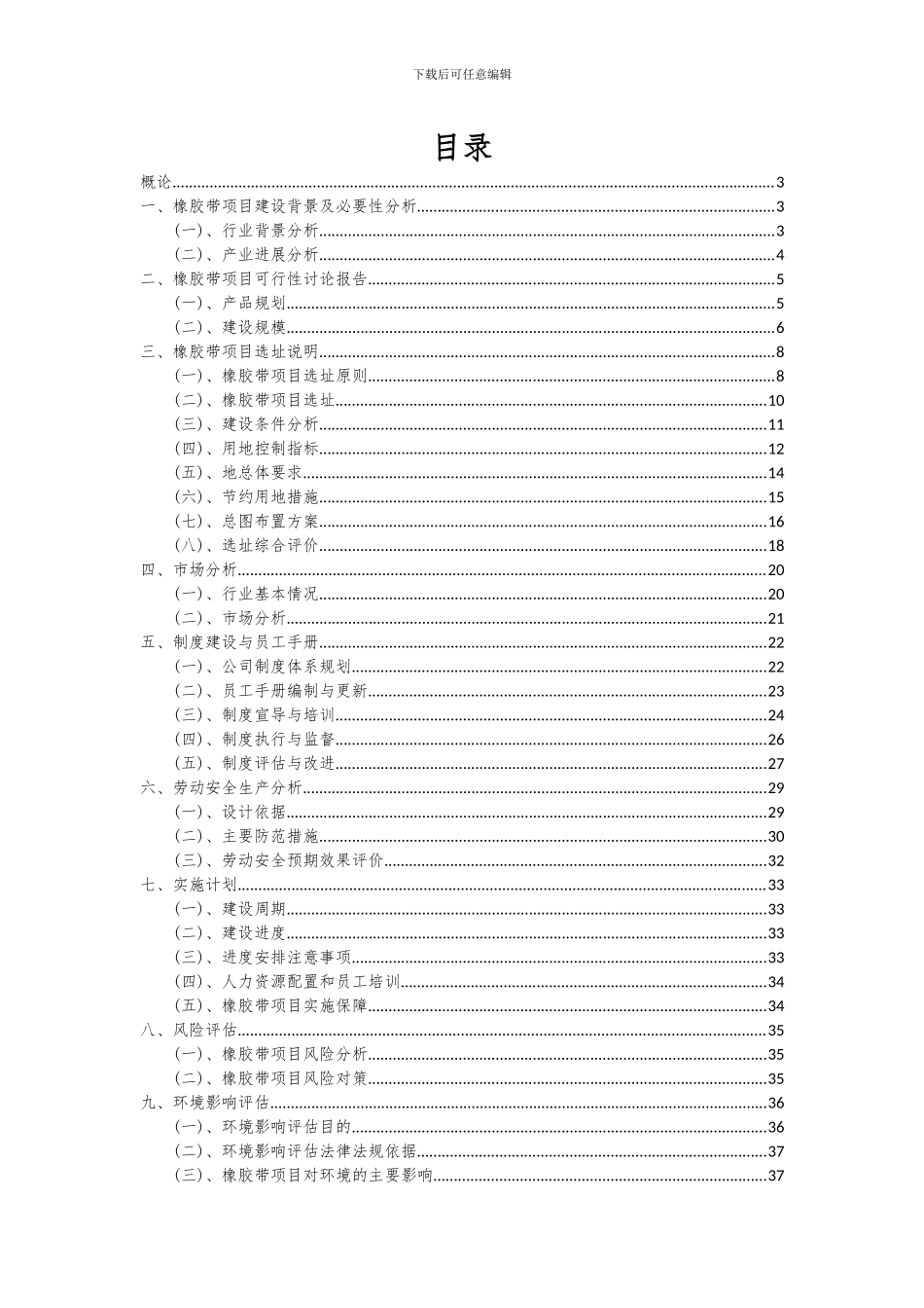 2024年橡胶带项目投资分析及可行性报告_第2页