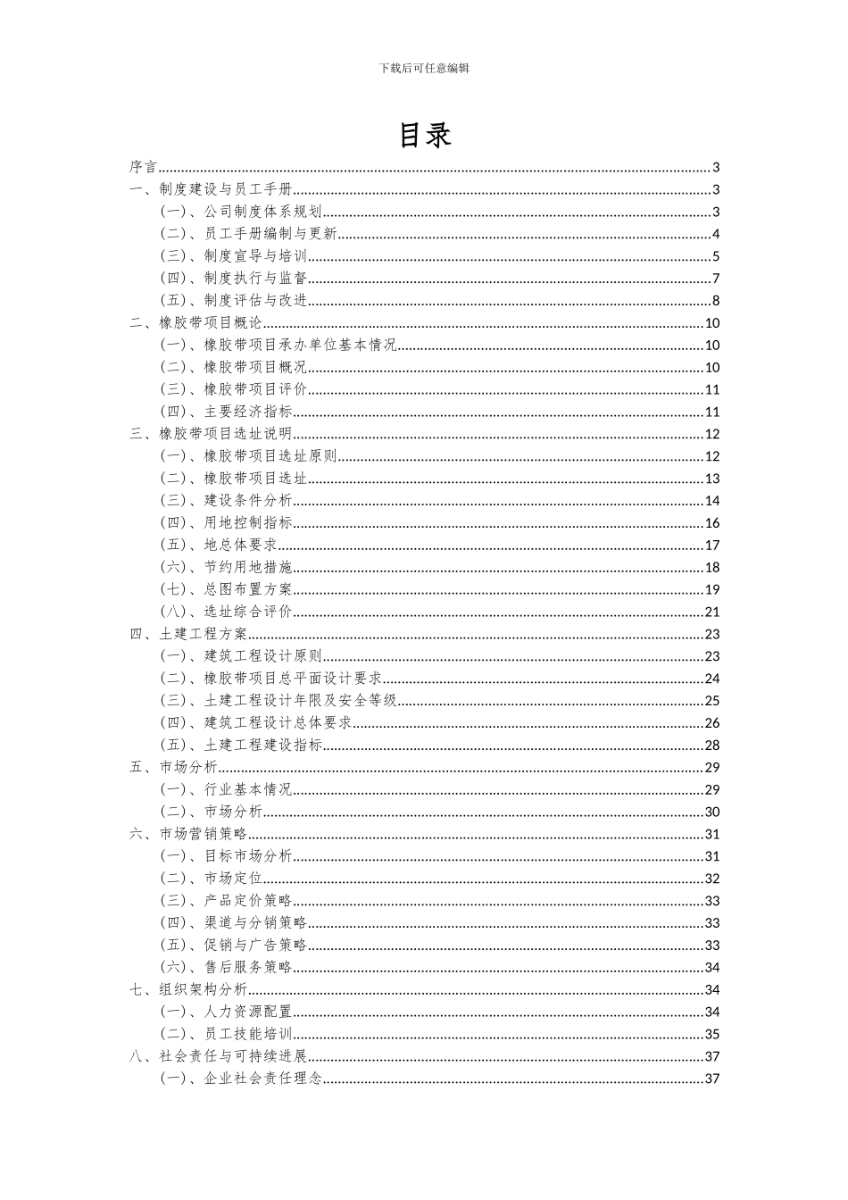 2024年橡胶带项目可行性研究报告_第2页