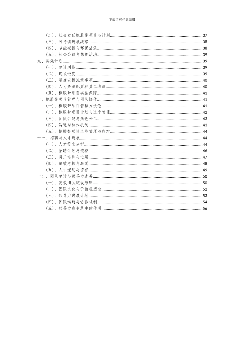 2024年橡胶带项目可行性研究报告_第3页