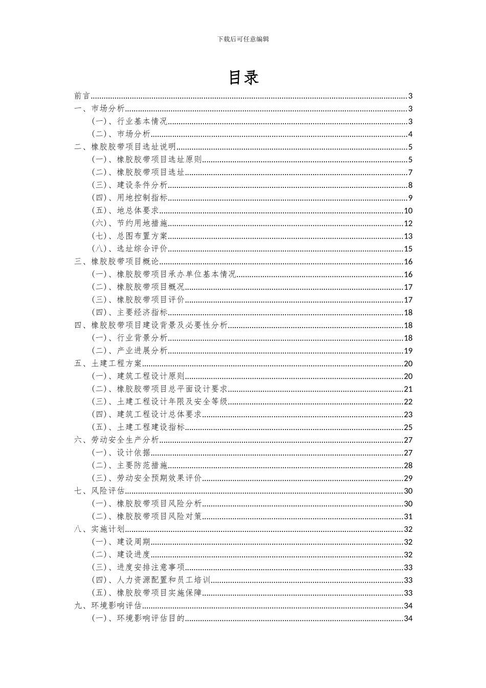 2024年橡胶胶带项目可行性分析报告_第2页