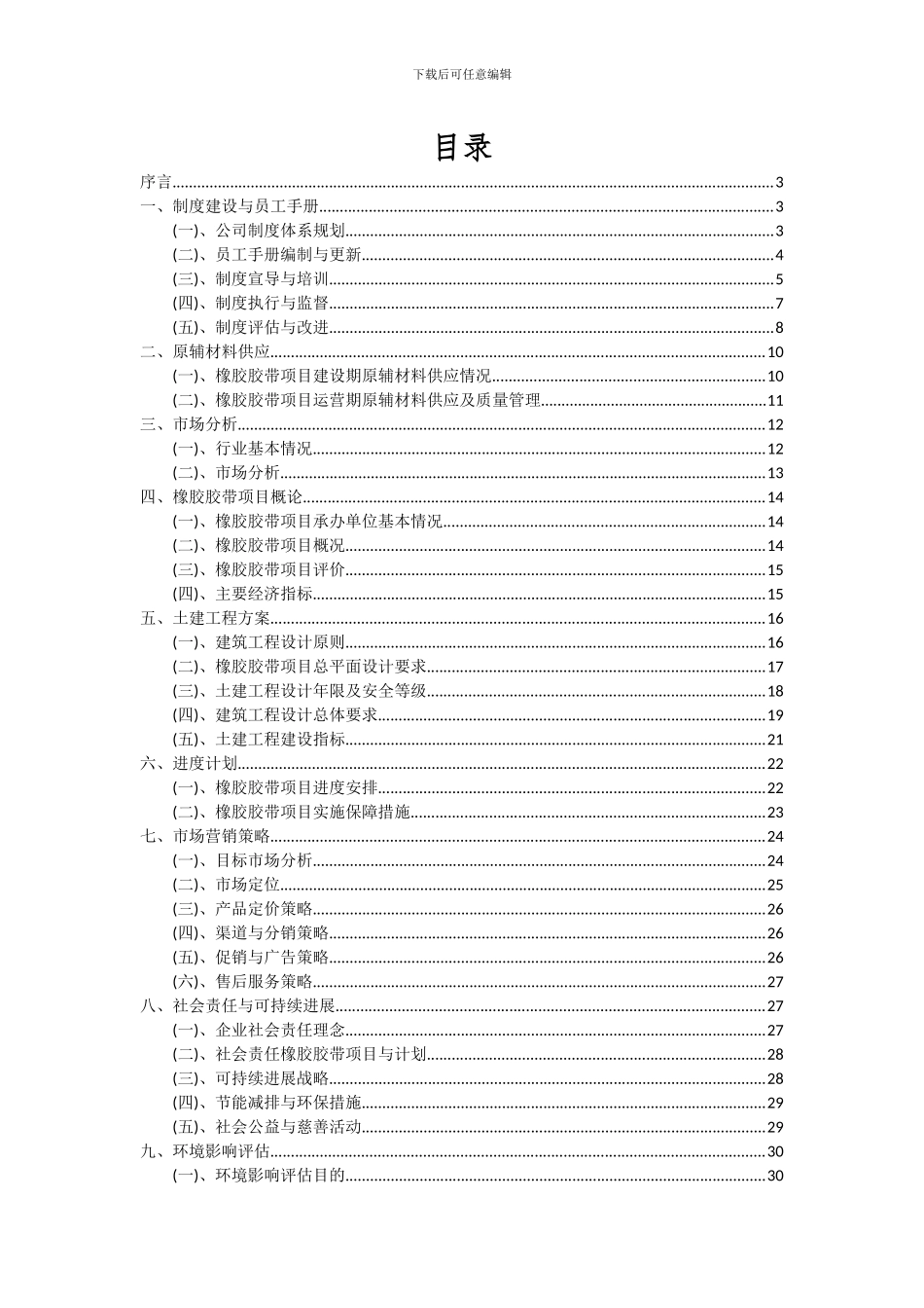 2024年橡胶胶带项目深度研究分析报告_第2页