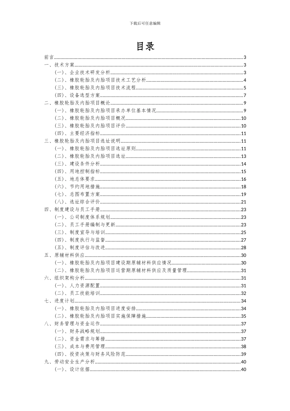 2024年橡胶轮胎及内胎项目可行性分析报告_第2页