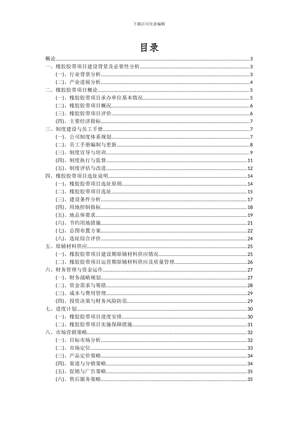 2024年橡胶胶带项目投资分析及可行性报告_第2页