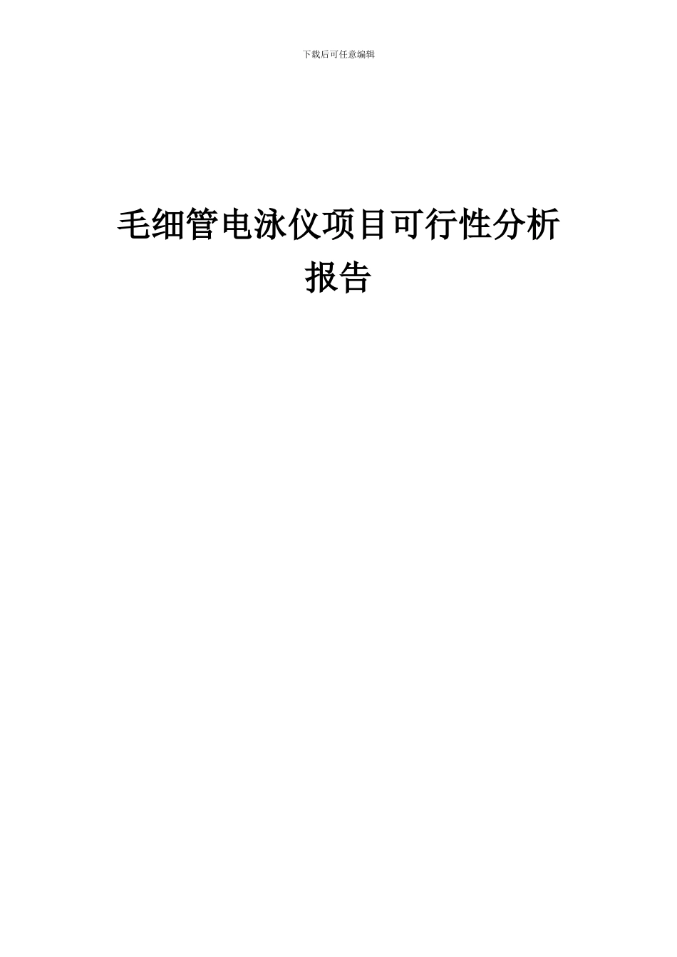 2024年毛细管电泳仪项目可行性分析报告_第1页