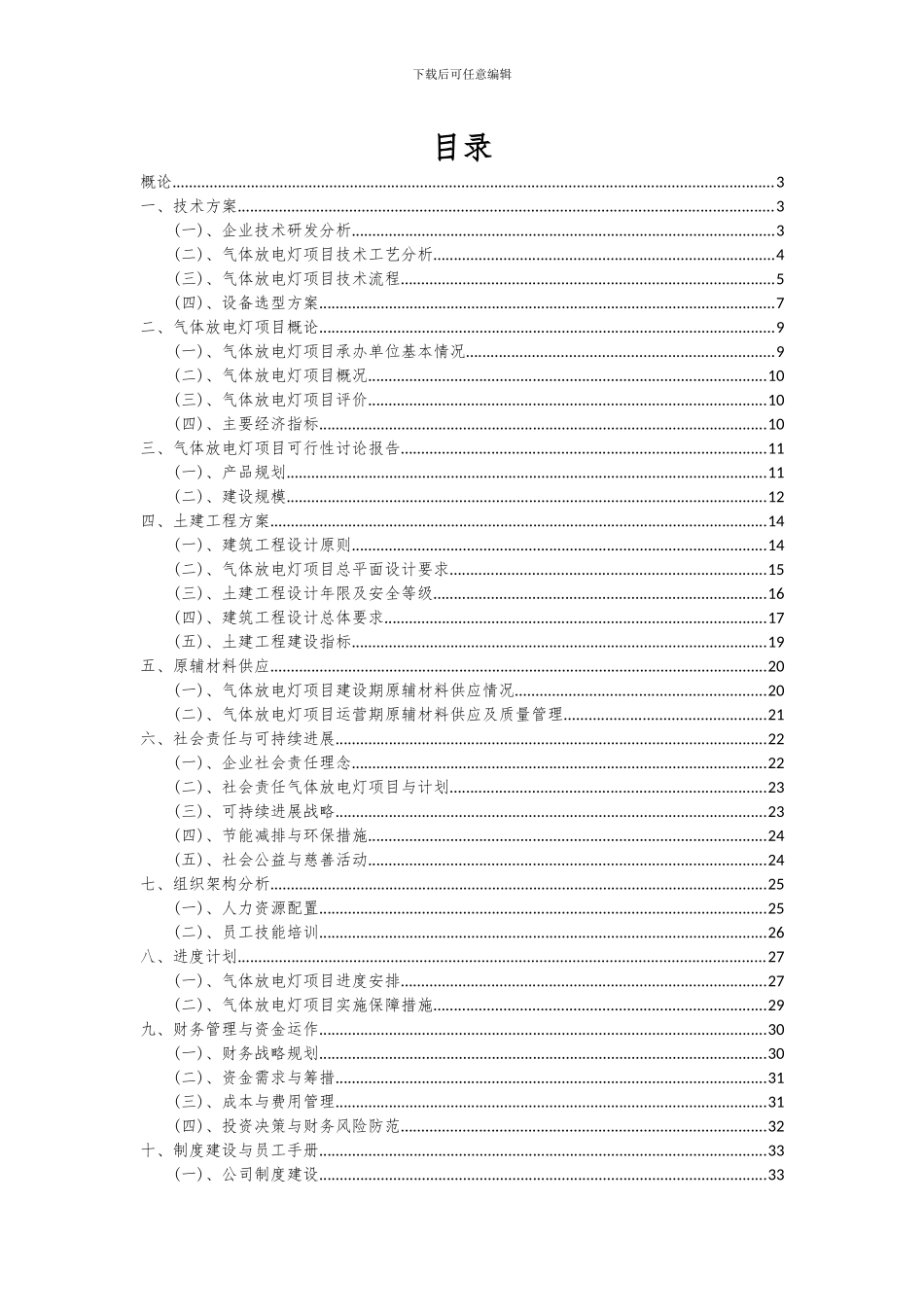 2024年气体放电灯项目投资分析及可行性报告_第2页