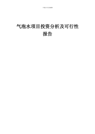 2024年气泡水项目投资分析及可行性报告