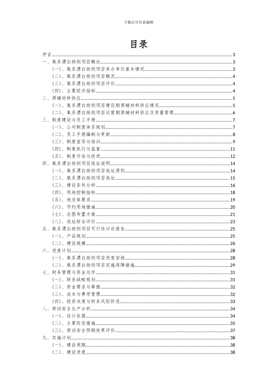 2024年氧系漂白助剂项目深度研究分析报告_第2页