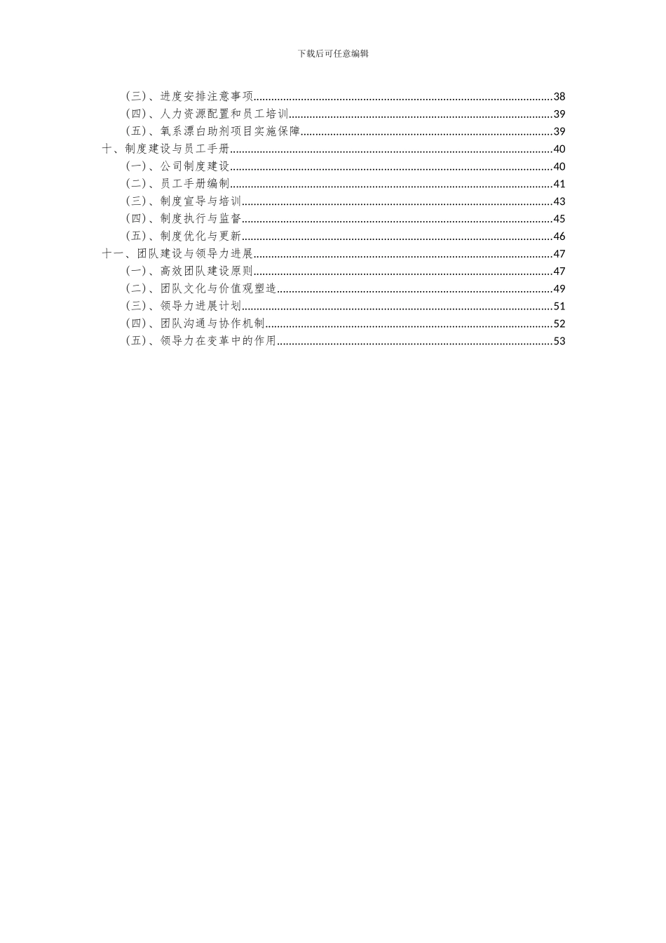2024年氧系漂白助剂项目深度研究分析报告_第3页