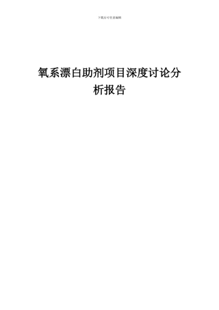 2024年氧系漂白助剂项目深度研究分析报告