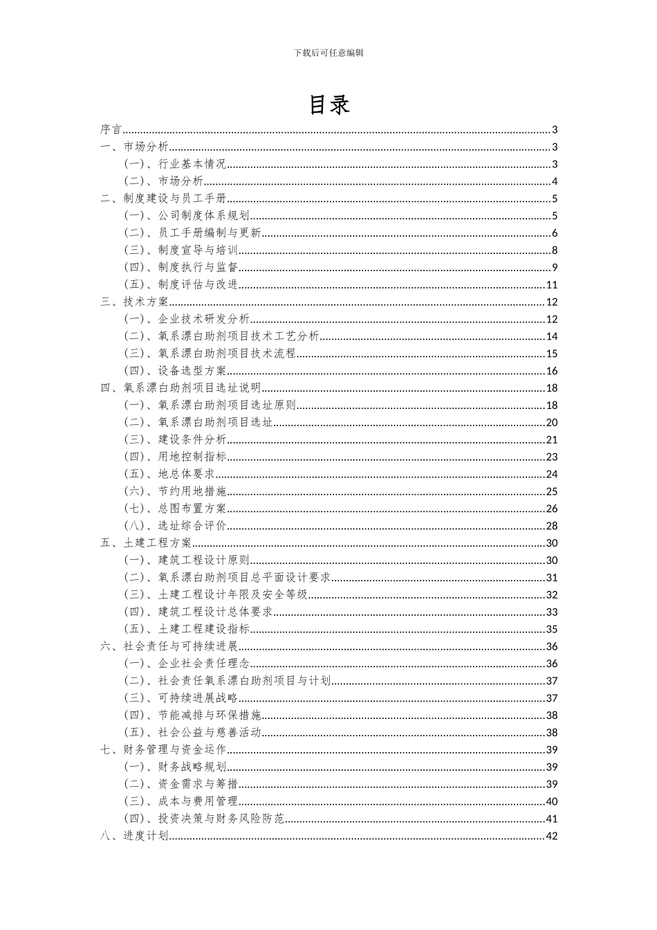 2024年氧系漂白助剂项目可行性研究报告_第2页