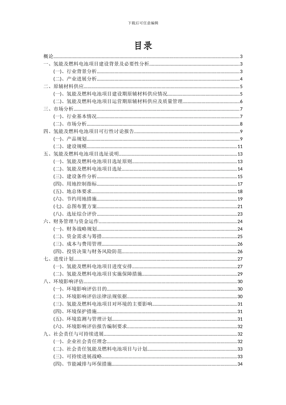 2024年氢能及燃料电池项目可行性分析报告_第2页